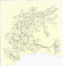 Blommor 19x19cm