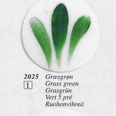 2025 Gräsgrön 6g